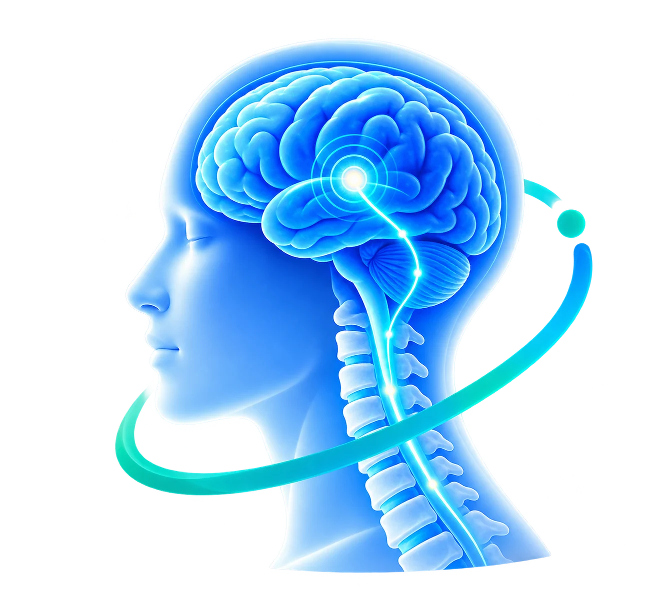 Neurosurgery